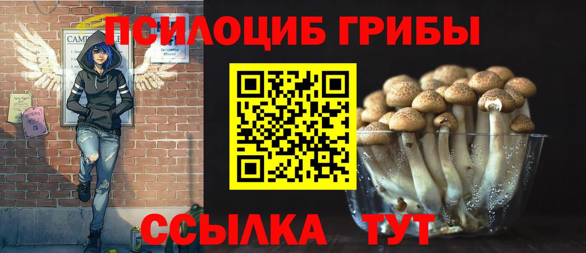 Галлюциногенные грибы мухоморы  наркошоп  Гудермес  Галлюциногенные грибы Cubensis  Вход с VPN 